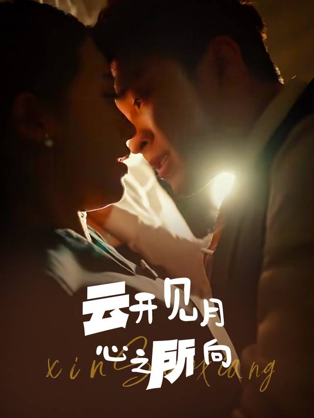 云开见月心之所向封面