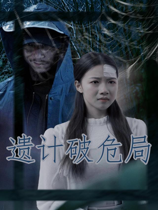 遗计破危局封面