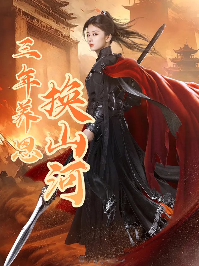 三年养恩换山河封面