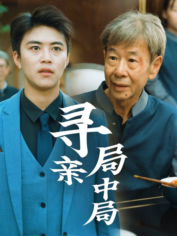 寻亲局中局封面