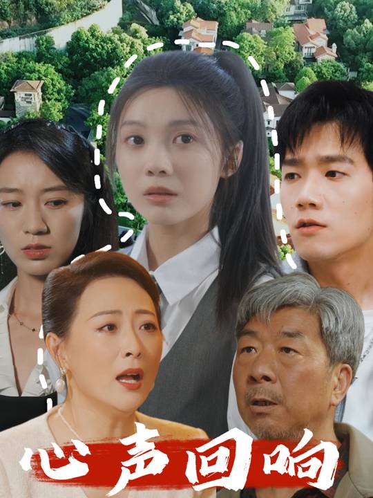 心声回响封面