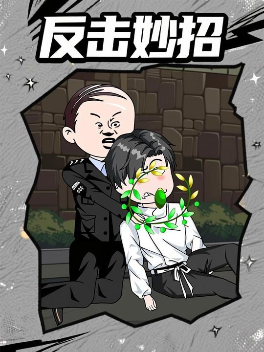反击妙招封面
