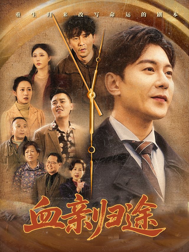 血亲归途封面