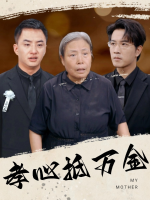 孝心抵万金封面