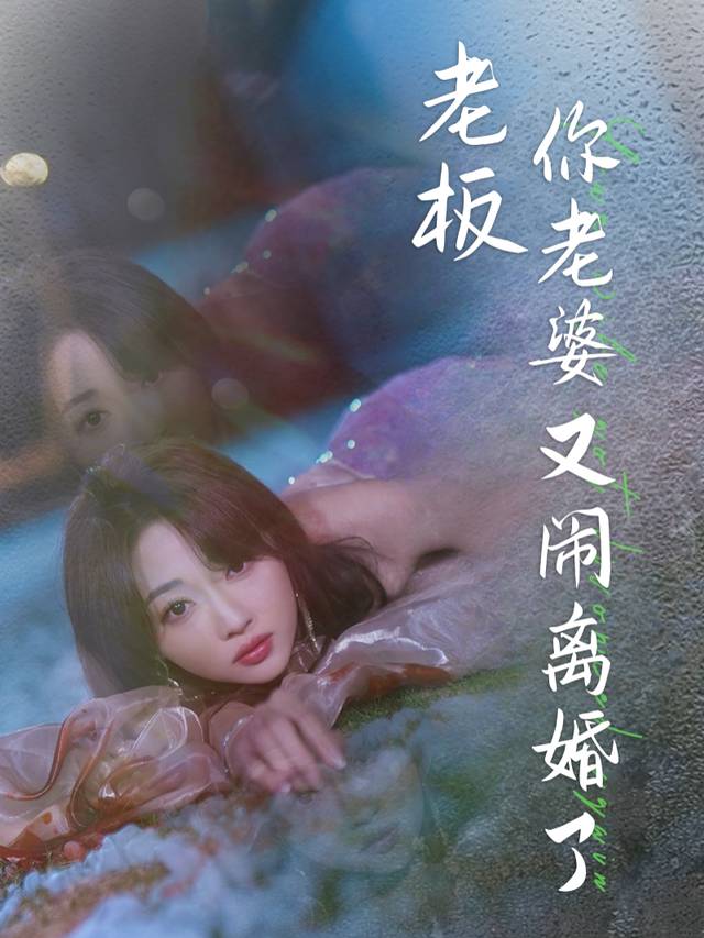 老板,你老婆又闹离婚了封面