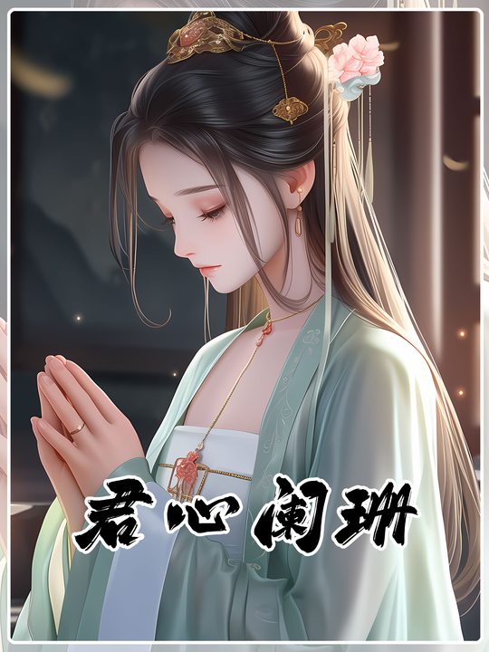 君心阑珊封面