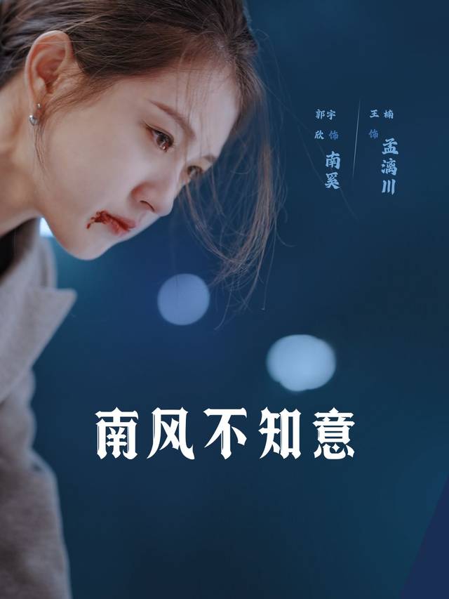 南风不知意封面