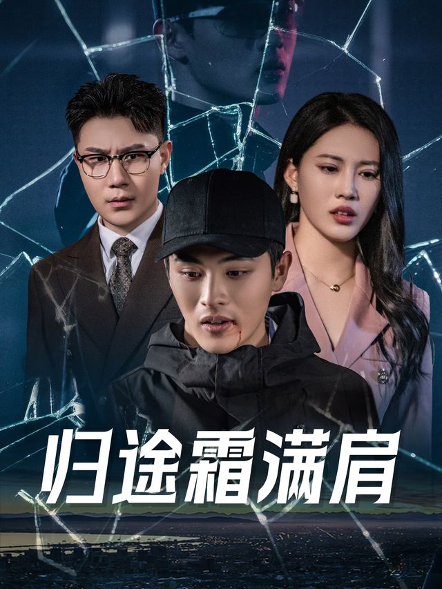 归途霜满肩封面