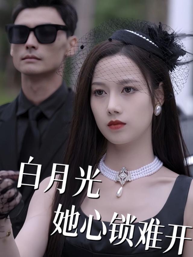 白月光她心锁难开封面