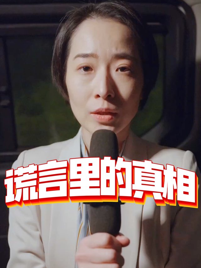 谎言里的真相封面