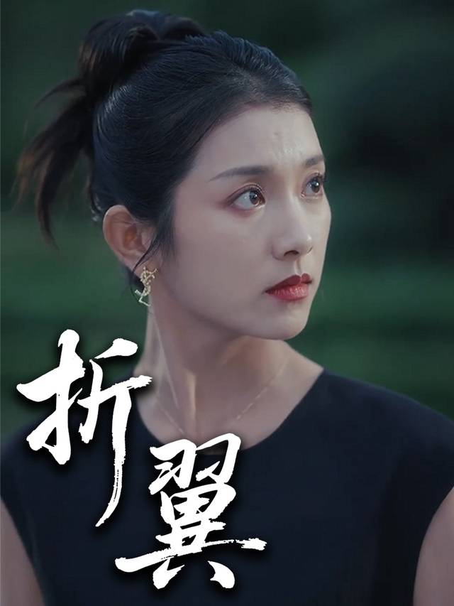折翼封面
