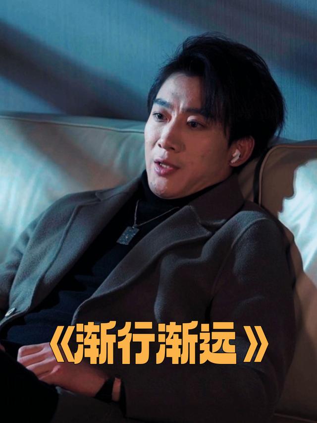 渐行渐远封面