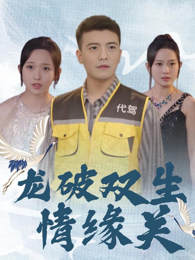 龙破双生情缘关封面