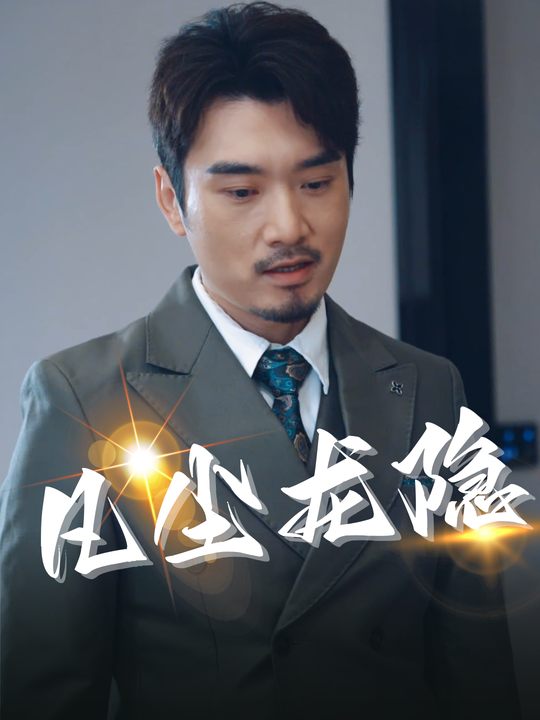 凡尘龙隐封面