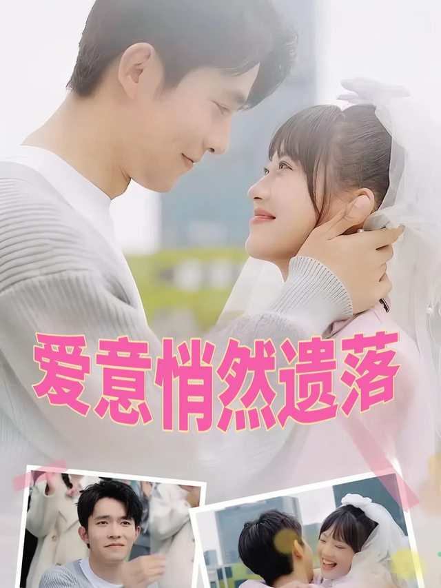 爱意悄然遗落封面