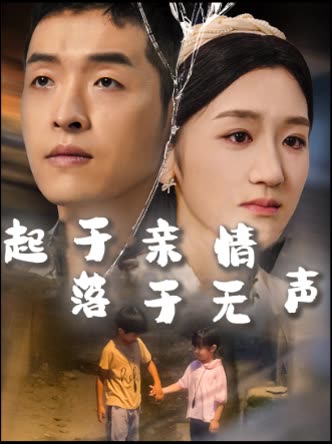 起于亲情落于无声封面