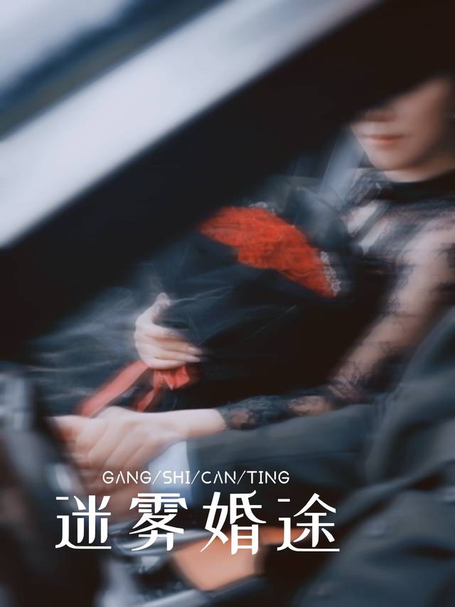 迷雾婚途封面