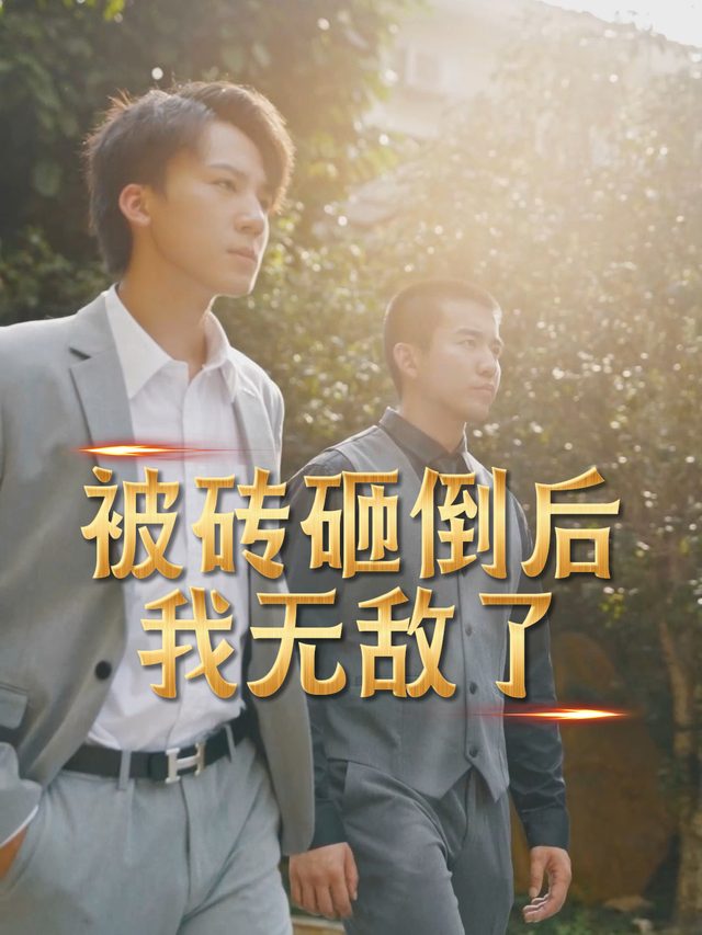 被砖砸倒后我无敌了封面