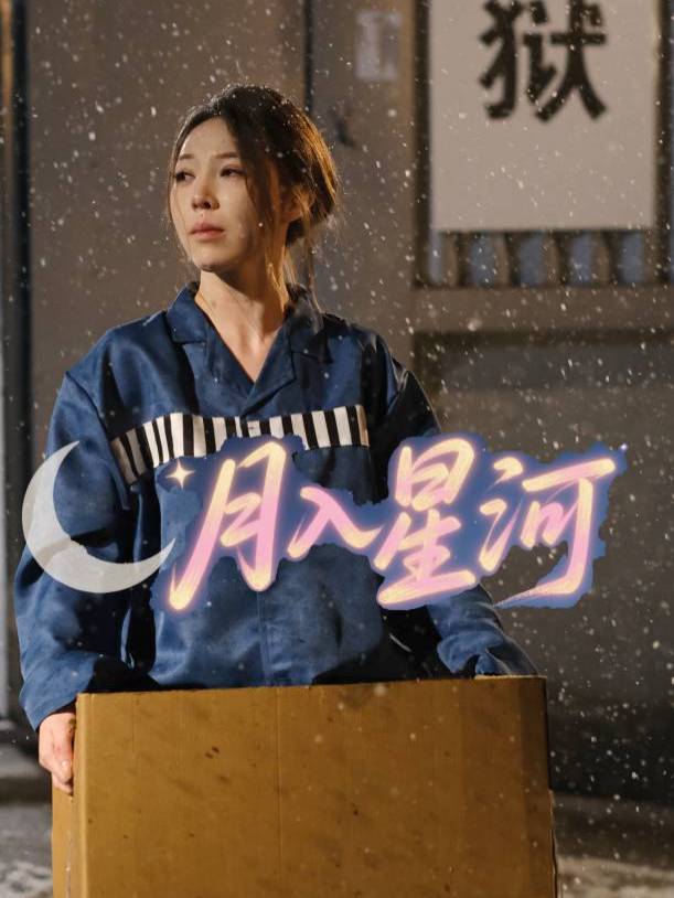 月入星河封面