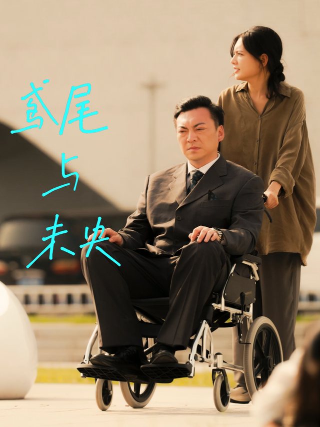 鸢尾与未央封面