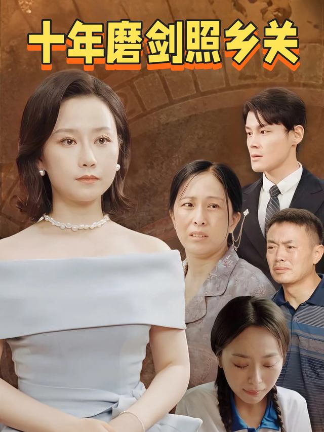 十年磨剑照乡关封面