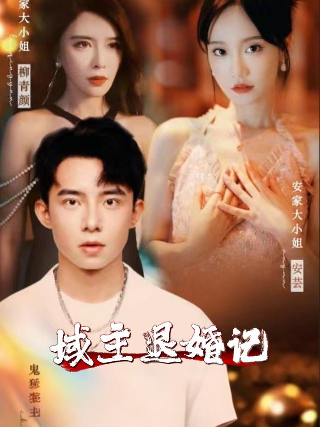 域主退婚记封面