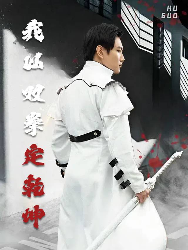 我以双拳定乾坤封面