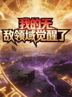 我的无敌领域觉醒了封面