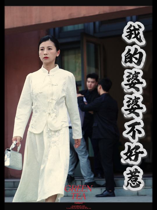 我的婆婆不好惹封面