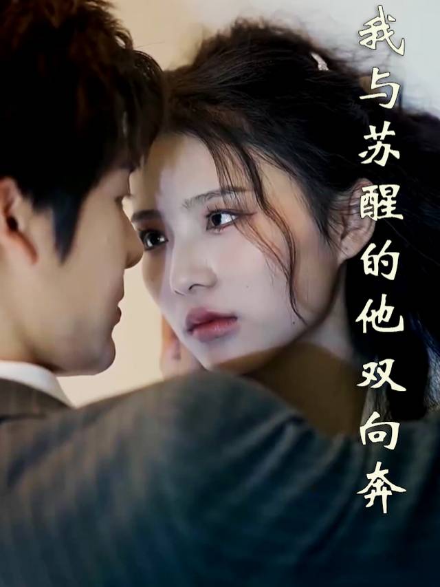 我与苏醒的他双向奔赴封面