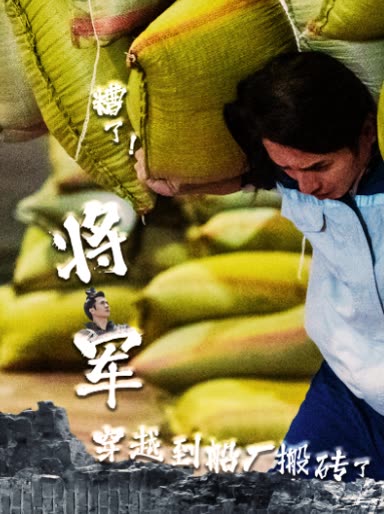 糟了!将军穿越到船厂搬砖了封面