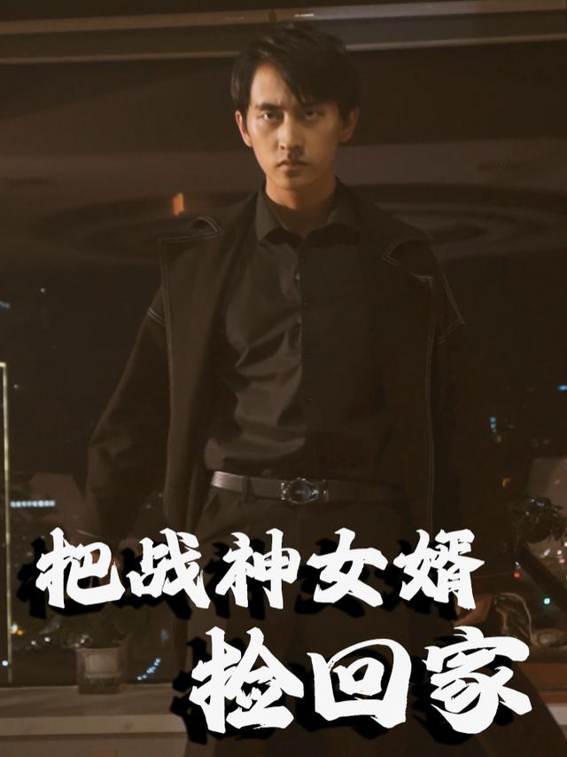 把战神女婿捡回家封面