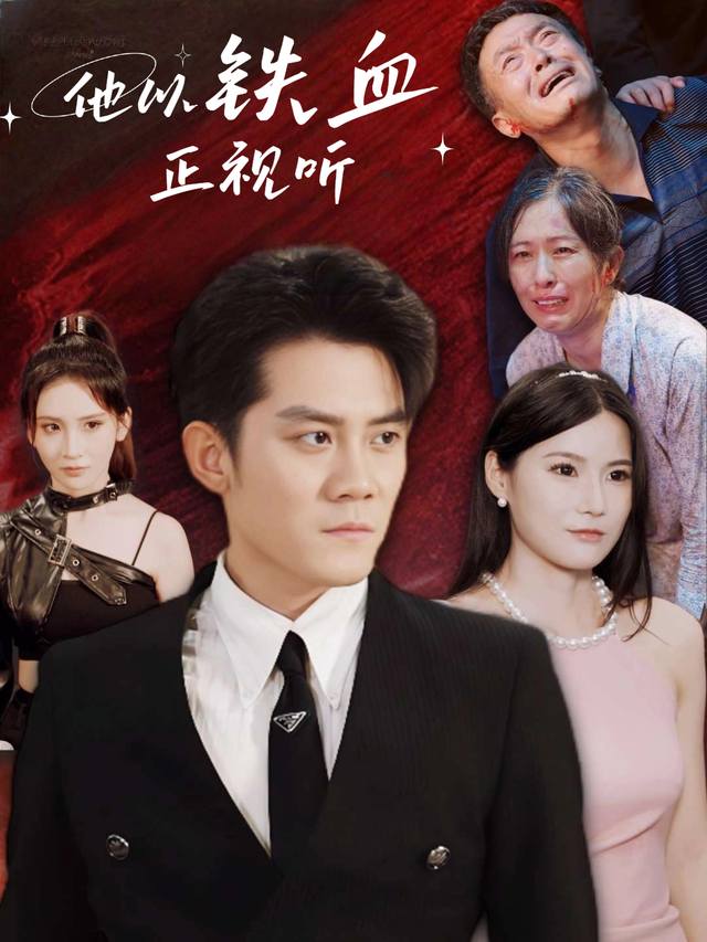 他以铁血正视听封面
