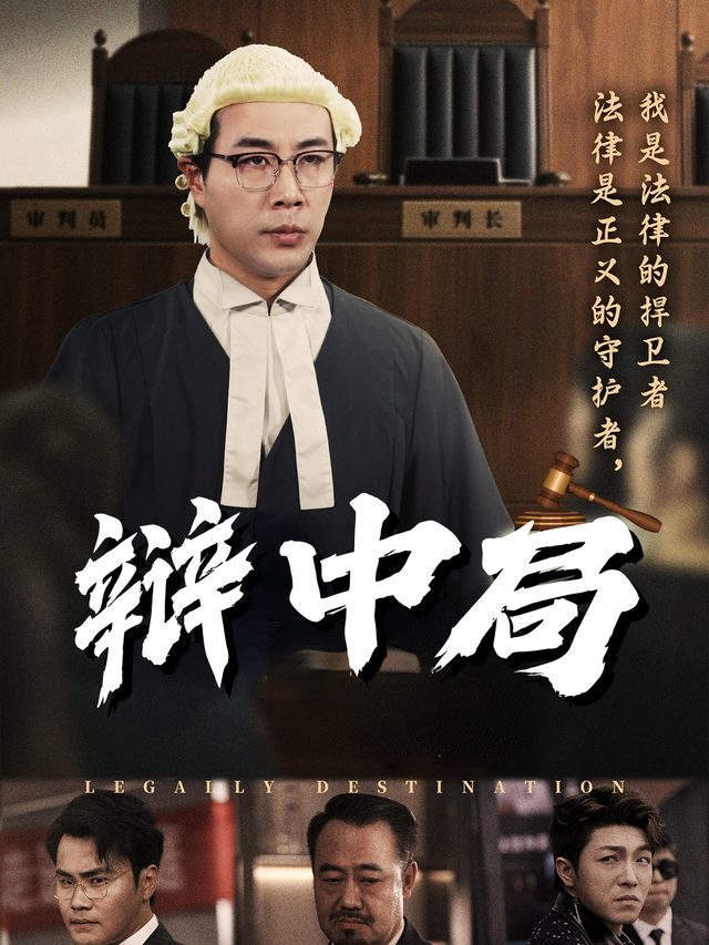 辩中局封面