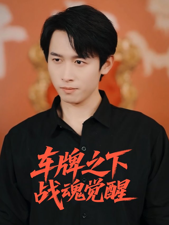 车牌之下,战魂觉醒封面