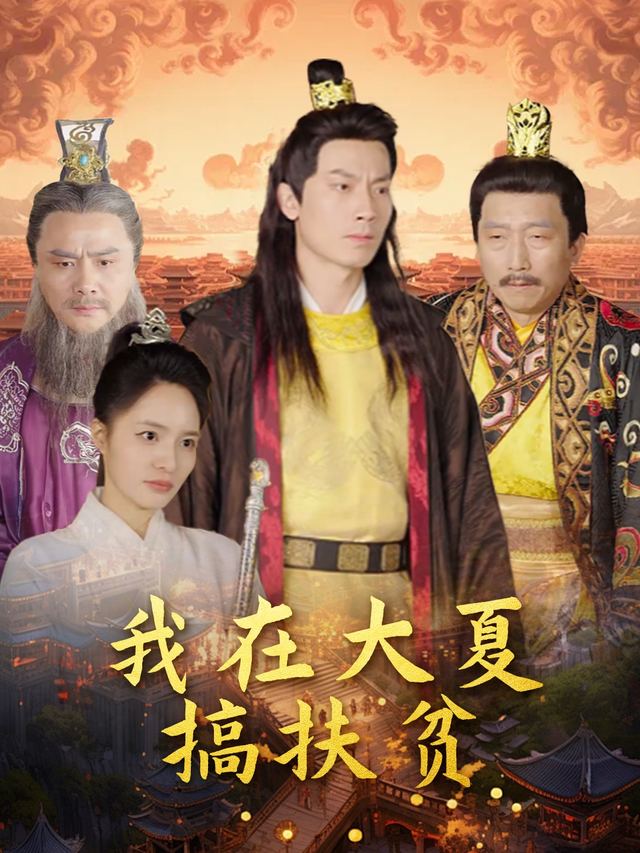 我在大夏搞扶贫封面
