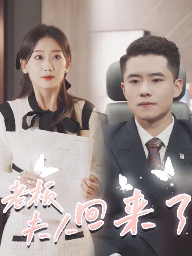 老板 ,夫人回来了封面