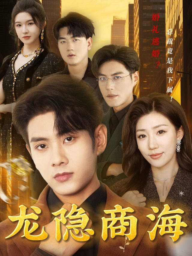 龙隐商海封面