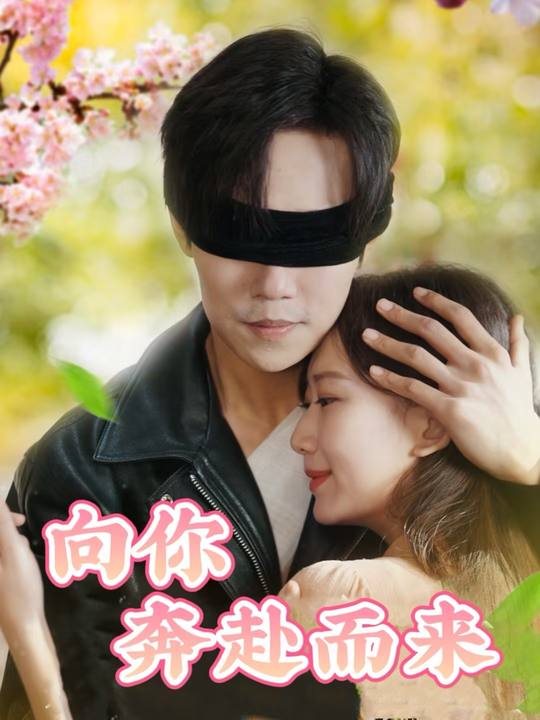 向你奔赴而来封面