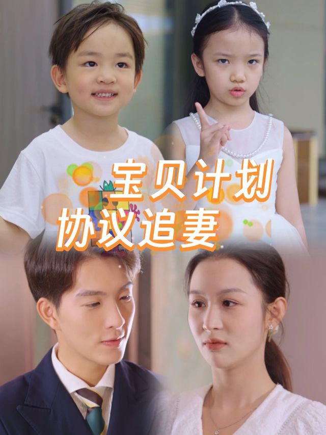 宝贝计划,协议追妻封面