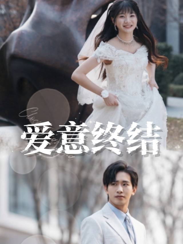 爱意终结封面