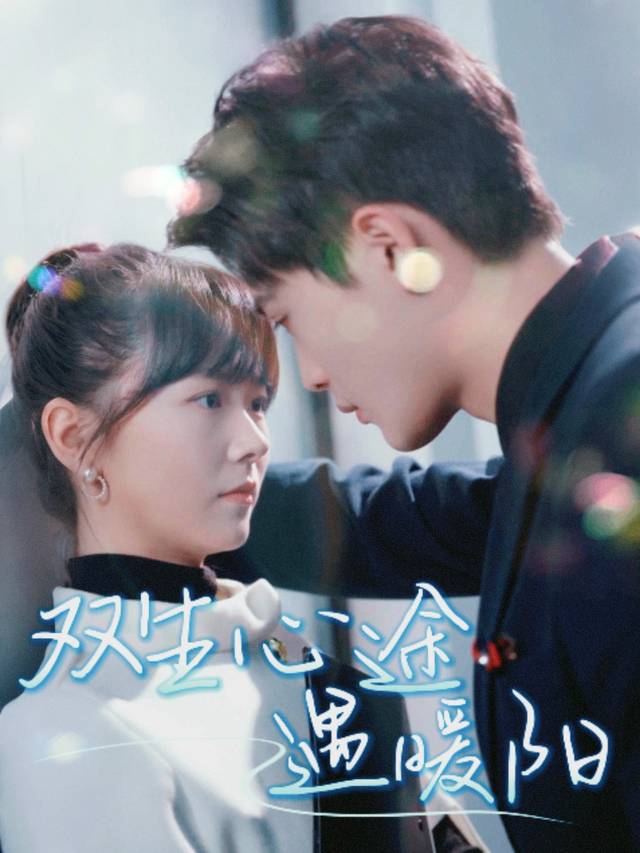 双生心途遇暖阳封面