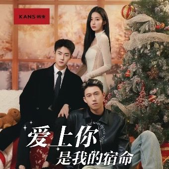 爱上你是我的宿命封面