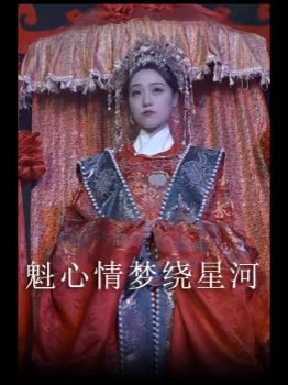 魁心情梦绕星河封面