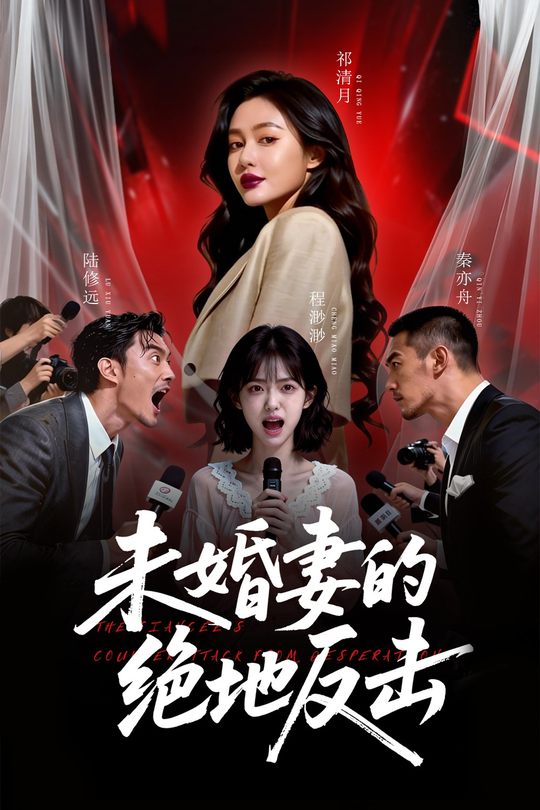 未婚妻的绝地反击封面