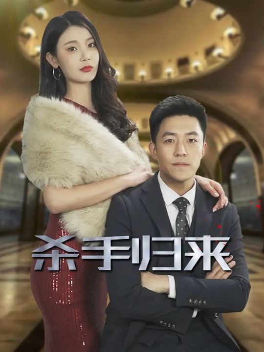杀手归来封面