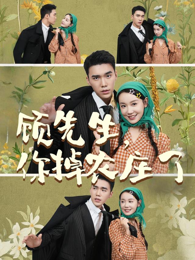 顾先生，你掉农庄了封面