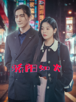 骄阳如火封面