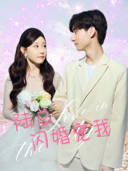 陆总闪婚宠我封面