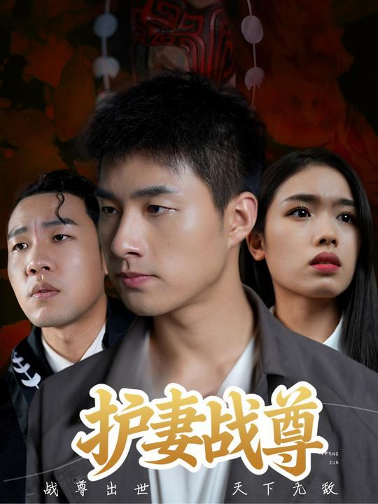 护妻战尊封面